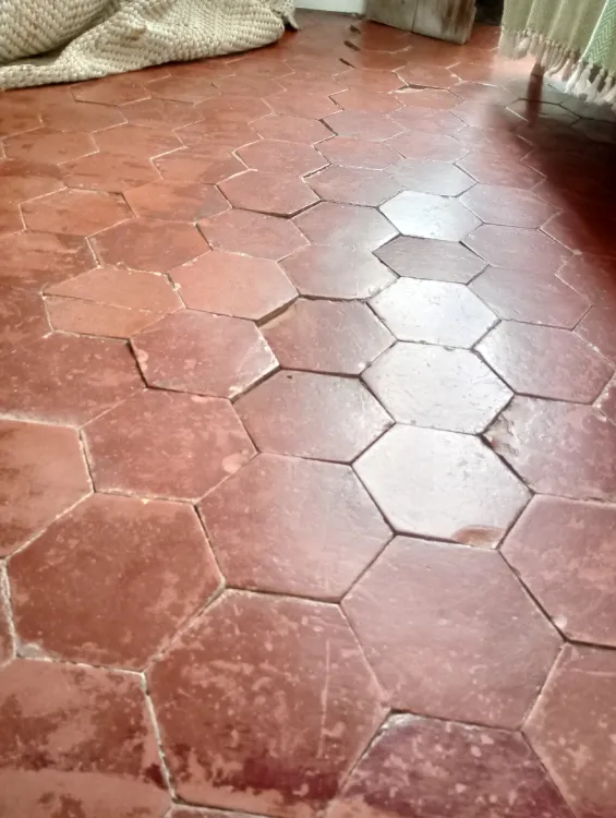 Zoom sur les fissures et dégradations des tomettes